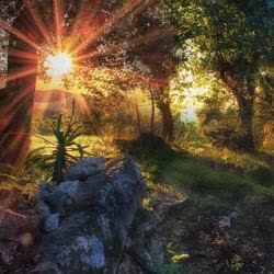 Portugal: Healing through the Pure Essence of the Elements – Summer Retreat with John Jackson (USA) – Sintra
