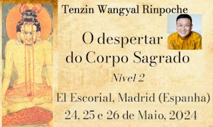 Spain: The Awakening of the Sacred Body Level 2 – with Tenzin Wangyal Rinpoche