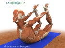 Portugal: III Workshop Intensivo de Anatomia e Biomec&acirc;nica no Yoga