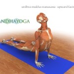 Portugal: Workshop Intensivo de Anatomia e Biomecânica no Yoga