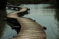 Workshop de Introdução à Meditação Segundo a Tradição Budista