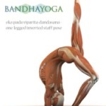 II Workshop Intensivo de Anatomia e Biomecânica no Yoga