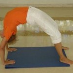 Portugal: Curso de Yogaterapeuta e Professor de Yoga