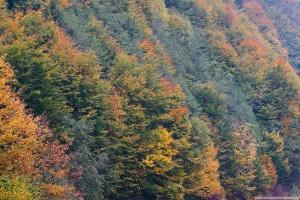 Portugal: Retiro de Meditação Zen com Amy Hollowell Sensei