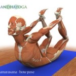 Portugal: III Workshop Intensivo de Anatomia e Biomecânica no Yoga