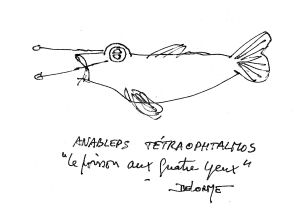 A Visão Perfeita por Georges Stobbaerts, Outubro de 2010