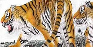 Curso_Domar_Tigre