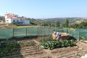Portugal: Experiência em Ashram com a Quinta do Rajo Portugal: Experiência em Ashram com a Quinta do Rajo
