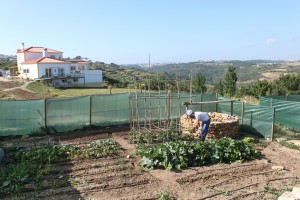 Portugal: Experiência em Ashram com a Quinta do Rajo