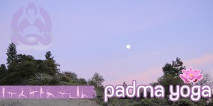 Portugal: Formação em Instrutor de Yoga 100 Horas com o Padma Centro de Yoga Portugal: Formação em Instrutor de Yoga 100 Horas com o Padma Centro de Yoga