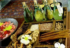 Portugal: Nutrição Ayurvédica & Estilo de Vida na ALBA Portugal: Nutrição Ayurvédica & Estilo de Vida na ALBA