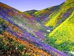 Portugal: Meditação do Equinócio da Primavera – Evento Gratuito – na Natha Portugal: Meditação do Equinócio da Primavera – Evento Gratuito – na Natha