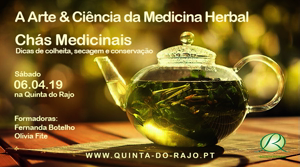 Portugal: A Arte & Ciência da Medicina Herbal – Chás Medicinais, dicas de colheita, conservação e secagem – Sintra