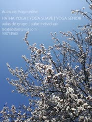 Portugal: Aulas de Yoga Online (individuais e em grupo) | Yoga Suave | Hatha Yoga | Yoga Sénior c/ Teca Batista