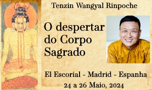 Espanha: O Despertar do Corpo Sagrado Nível 2 – com Tenzin Wangyal Rinpoche