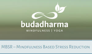 Portugal: MBSR – Mindfulness Based Stress Reduction – c/ João Palma – no Coletivo Transformar – Lisboa Portugal: MBSR – Mindfulness Based Stress Reduction – c/ João Palma – no Coletivo Transformar – Lisboa