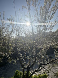 Portugal: Retiro de Primavera – Regressar à Natureza (Meditação e Maravilhamento) – c/ Paulo Borges e Daniela Velho