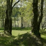 Paredes de Coura – Portugal: Kírtan, Physical Practice and Sat Sanga