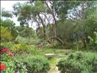 Portugal: Silent Retreat with Swami Asokananda from Yogaville, USA
